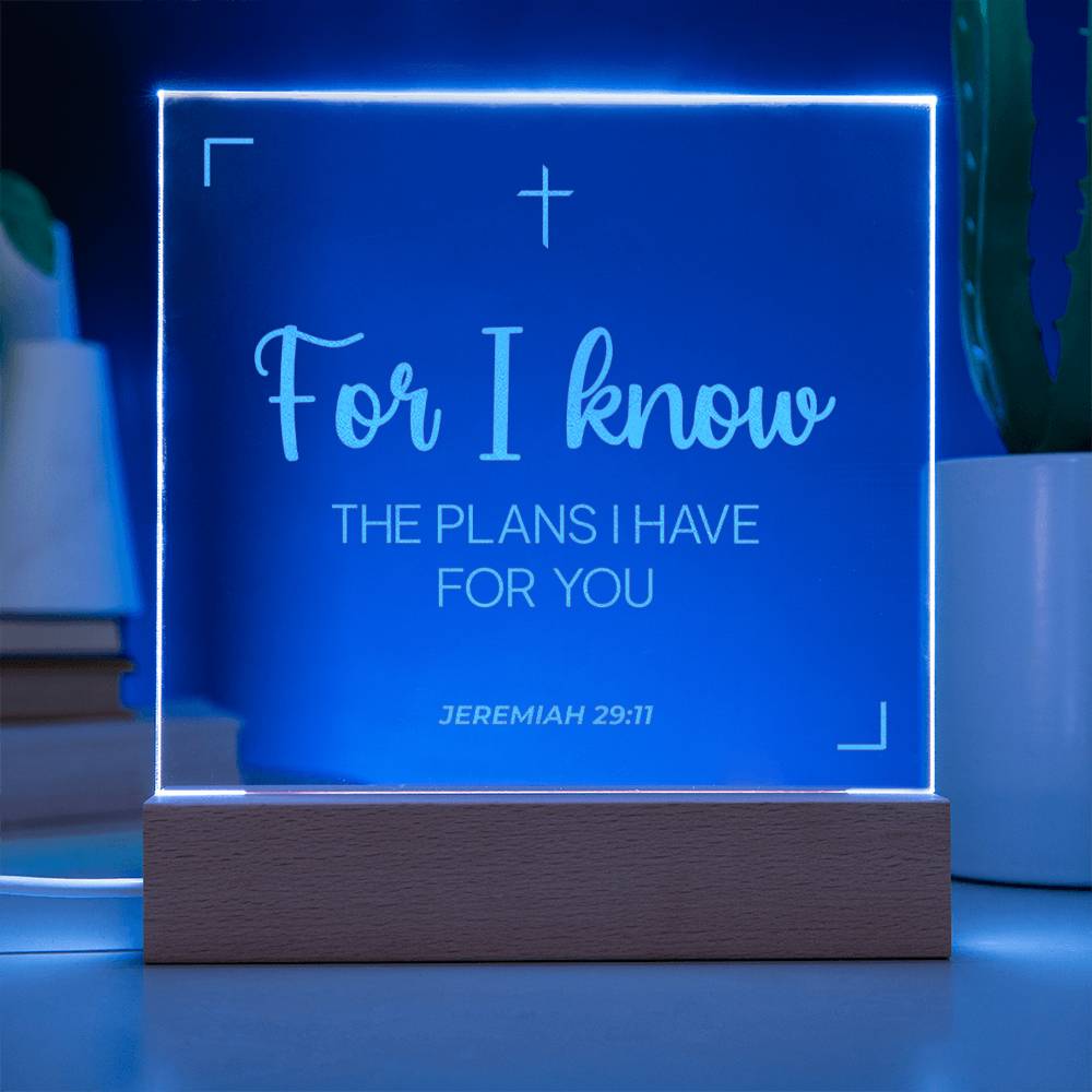 The Plans I Have for You | Engraved Acrylic Plaque Led Light